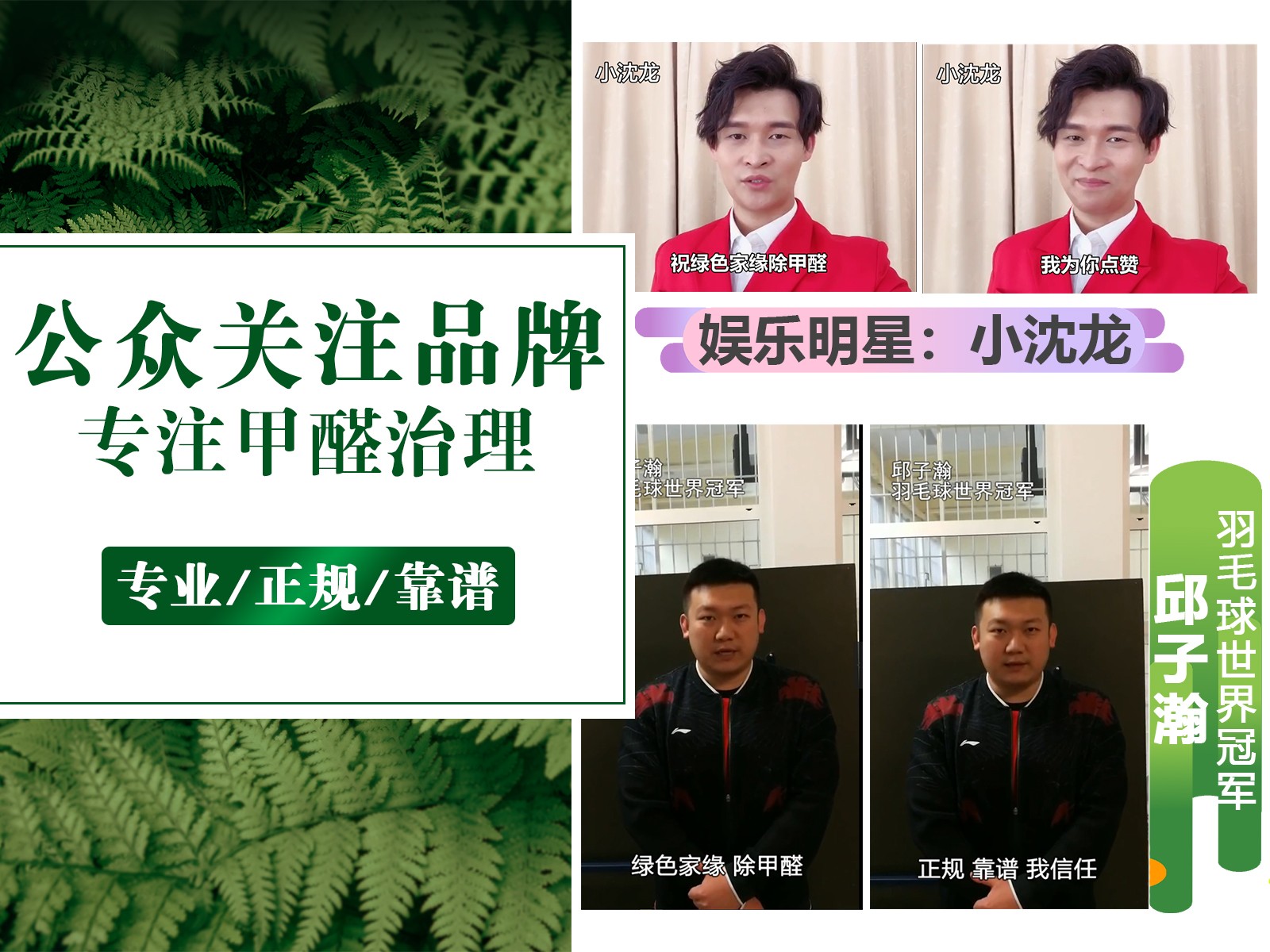 公眾關(guān)注品牌，專(zhuān)注甲醛治理
